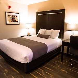 Single Queen Room ADA Accessible
